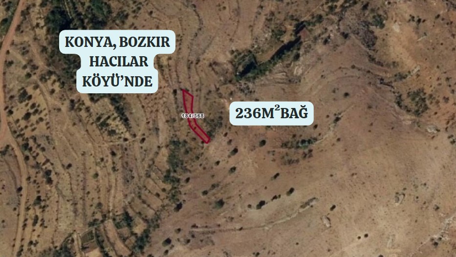 KONYA BOZKIR HACILAR KÖYÜNDE 236 M2 BAĞ SATILIKTIR. - KONYA BOZKIR fotoğraf 3